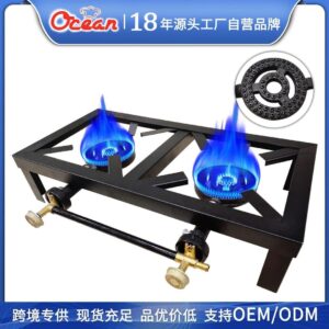 Potable outdoor double head stove
